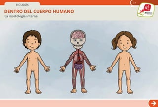 BIOLOGÍA
DENTRO DEL CUERPO HUMANO
La morfología interna
3 +
 