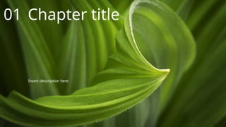 Insert description here
01 Chapter title
 