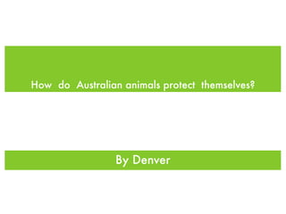How do Australian animals protect themselves?




                By Denver
 