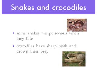 Snakes and crocodiles


• some snakes are poisonous when
  they bite
• crocodiles have sharp teeth and
  drown their prey
 