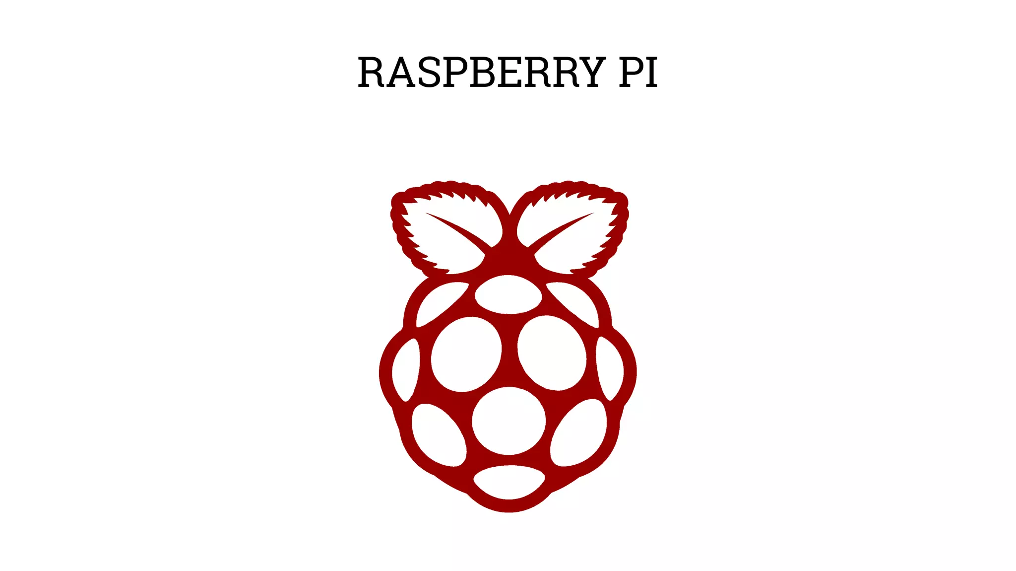 RASPBERRY PI