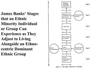James Banks’ Stages that an Ethnic Minority Individual or Group Can Experience as They Adjust to Living Alongside an Ethno-centric Dominant Ethnic Group 