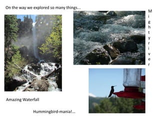 On the way we explored so many things...
                                           M
                                           i
                                           g
                                           h
                                           t
                                           y
                                           r
                                           i
                                           v
                                           e
                                           r




Amazing Waterfall

              Hummingbird-mania!...
 