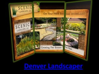 Denver Landscaper
 