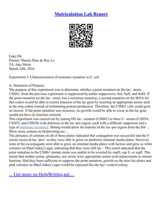 Matriculation Lab Report
Luke Oh
Partner: Daniel Zhao & Huy Le
TA: Jake Merle
March 24th, 2016
Experiment 3: Characterization of nonsense mutation in E. coli
A. Statement of Purpose:
The purpose of this experiment was to determine whether a point mutation on the lac– strain,
CSH61, from the previous experiment is suppressed by amber suppressors, SuI, SuII, and SuIII. If
the point mutation on the lac– strain was a nonsense mutation, a second mutation on the tRNA for
that codon would be able to restore function of the lac gene by inserting an appropriate amino acid
at the stop codon instead of terminating protein production. Therefore, the CSH61 cells could grow
on lactose. If the point mutation was missense, no growth would be able to occur as the lac gene
would not have its function restored.
This experiment was carried out by mating Hfr lac– mutants (CSH61) to three F– strains (CSH54,
CSH55, and CSH56) with deletions in the lac–pro region, each with a different suppressor and a
type of antibiotic resistance. Mating would allow for transfer of the lac–pro region from the Hfr ...
Show more content on Helpwriting.net ...
The presence of colonies on all of these plates indicated that conjugation was successful and the F–
strains received lac–/pro+ as they were able to grow on antibiotic minimal media plates. However,
none of the exconjugants were able to grow on minimal media plates with lactose and grew as white
colonies on MacConkey's agar, indicating that they were still lac–. This result indicated that the
point mutation in the CSH61 mutant strain was unable to be reverted by supD, sup E, or supF. This
meant that neither serine, glutamine, nor serine were appropriate amino acid replacements to restore
function. Had they been sufficient to suppress the point mutation, growth on the min+lac plates and
pink colonies on MacConkey's agar would be expected like the lac+ control colony
... Get more on HelpWriting.net ...
 
