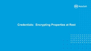 Credentials: Encrypting Properties at Rest
 