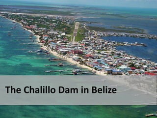 Challilo Dam Fortis, Inc. - A Case Study in Business Ethics | PPTX