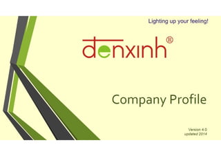 DENXINH Company Profile 