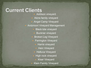  Addison vineyard
      Akins family vineyard
     Angel Camp Vineyard
 Ardzrooni Vineyard Management
       Black kite vineyard
       Buckner vineyard
      Broken Leg Vineyard
      Ferrington Vineyard
        Harris vineyard
         Hein Vineyard
        Helluva Vineyard
       High rock vineyard
         Kiser Vineyard
     Klein Family Vineyard
 