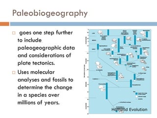 Paleobiogeography
 goes one step further
to include
paleogeographic data
and considerations of
plate tectonics.
 Uses molecular
analyses and fossils to
determine the change
in a species over
millions of years.
Hominid Evolution
 