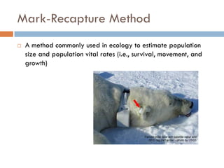 Mark-Recapture Method
 A method commonly used in ecology to estimate population
size and population vital rates (i.e., survival, movement, and
growth)
 