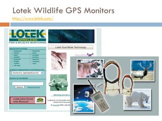 Lotek Wildlife GPS Monitors
http://www.lotek.com/
 