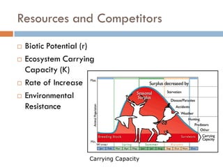 Resources and Competitors
 Biotic Potential (r)
 Ecosystem Carrying
Capacity (K)
 Rate of Increase
 Environmental
Resistance
Carrying Capacity
 