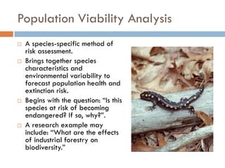 Population Viability Analysis
 A species-specific method of
risk assessment.
 Brings together species
characteristics and
environmental variability to
forecast population health and
extinction risk.
 Begins with the question: “Is this
species at risk of becoming
endangered? If so, why?”.
 A research example may
include: “What are the effects
of industrial forestry on
biodiversity.”
 