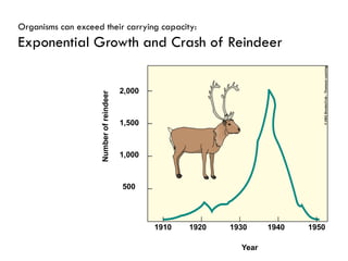 2,000
1,500
Numberofreindeer
1910 1920 1930 1940 1950
Year
1,000
500
Organisms can exceed their carrying capacity:
Exponential Growth and Crash of Reindeer
 