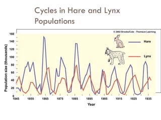 Populationsize(thousands)
160
140
120
100
80
60
40
20
0
1845 1855 1865 1875 1885 1895 1905 1915 1925 1935
Year
Hare
Lynx
Cycles in Hare and Lynx
Populations
 