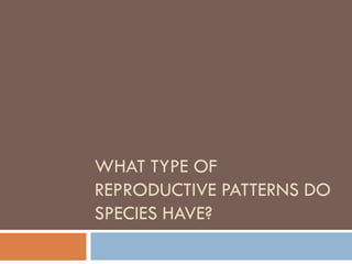 WHAT TYPE OF
REPRODUCTIVE PATTERNS DO
SPECIES HAVE?
 