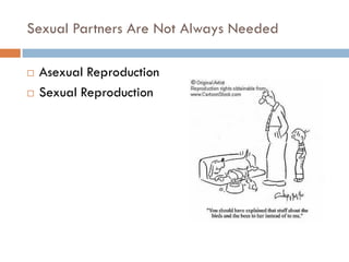 Sexual Partners Are Not Always Needed
 Asexual Reproduction
 Sexual Reproduction
 