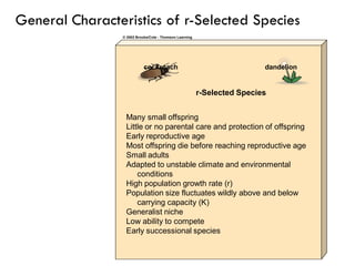 Many small offspring
Little or no parental care and protection of offspring
Early reproductive age
Most offspring die before reaching reproductive age
Small adults
Adapted to unstable climate and environmental
conditions
High population growth rate (r)
Population size fluctuates wildly above and below
carrying capacity (K)
Generalist niche
Low ability to compete
Early successional species
r-Selected Species
cockroach dandelion
General Characteristics of r-Selected Species
 