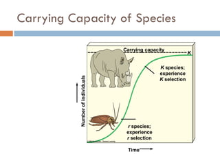 Carrying Capacity of Species
Numberofindividuals
Time
Carrying capacity
K species;
experience
K selection
r species;
experience
r selection
K
 