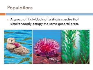 Populations
 A group of individuals of a single species that
simultaneously occupy the same general area.
 