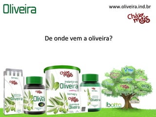 www.oliveira.ind.br




De onde vem a oliveira?
 