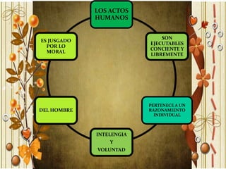 LOS ACTOS
             HUMANOS


                              SON
ES JUSGADO
                          EJECUTABLES
  POR LO
                          CONCIENTE Y
  MORAL
                          LIBREMENTE




                          PERTENECE A UN
DEL HOMBRE                RAZONAMIENTO
                            INDIVIDUAL



             INTELENGIA
                 Y
             VOLUNTAD
 