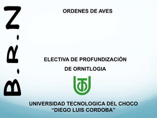 UNIVERSIDAD TECNOLOGICA DEL CHOCO
“DIEGO LUIS CORDOBA”
ELECTIVA DE PROFUNDIZACIÓN
DE ORNITLOGIA
ORDENES DE AVES
 
