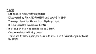 Deoxyribonucleic acid | PPTX