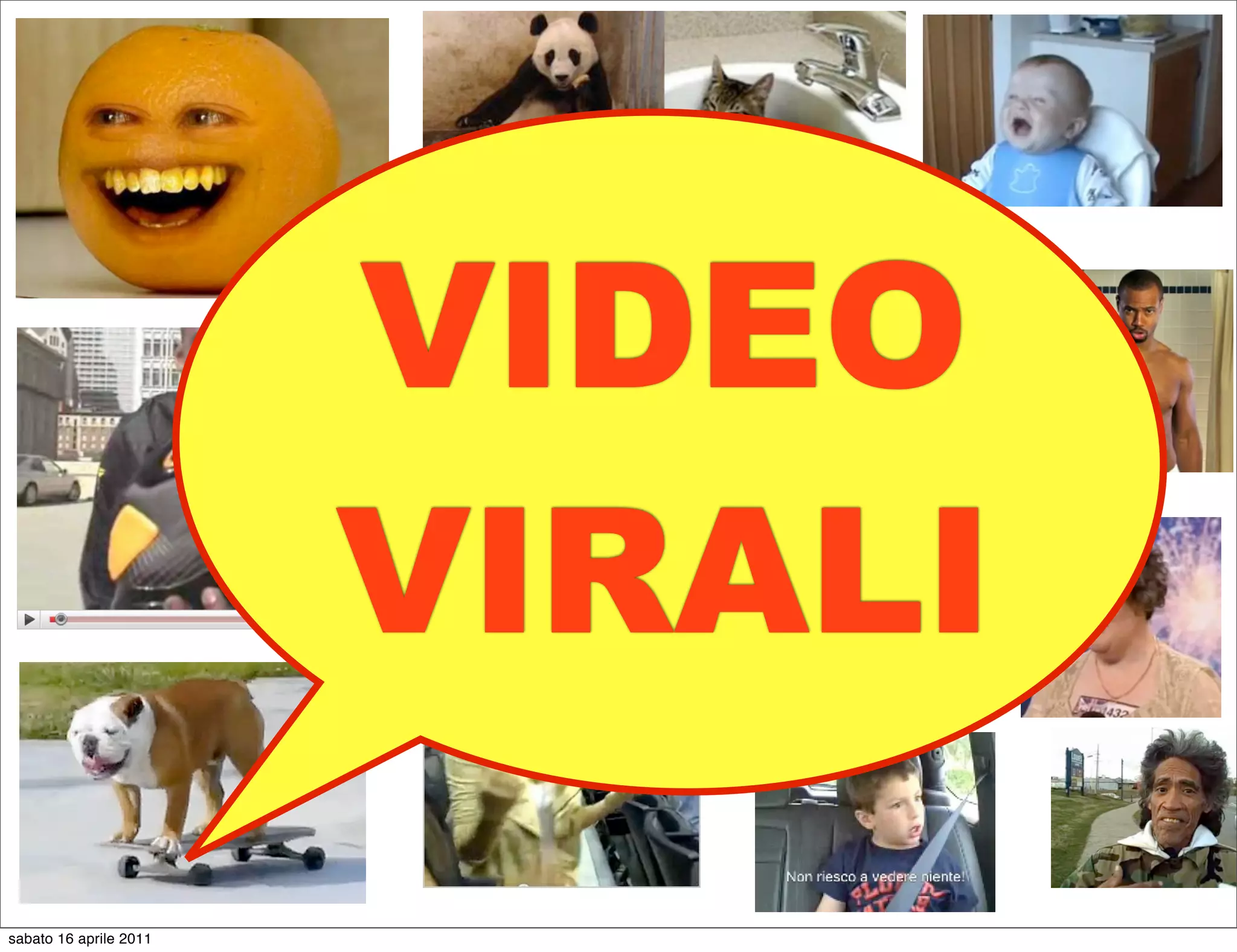 VIDEO
                        VIRALI
sabato 16 aprile 2011
 