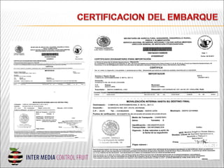 Depachoaduanerogenerales