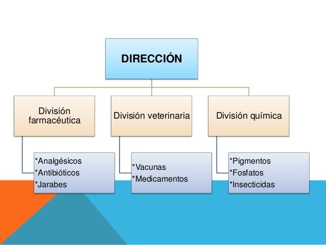 La Departamentalización dentro de una empresa