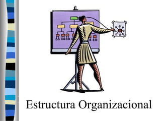 Estructura Organizacional
 Estructura Organizacional
 