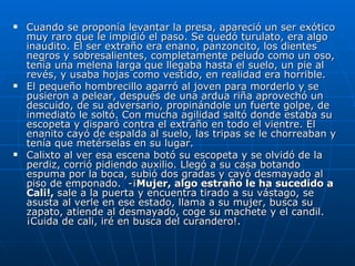 Cuando se proponía levantar la presa, apareció un ser exótico muy raro que le impidió el paso. Se quedó turulato, era algo inaudito. El ser extraño era enano, panzoncito, los dientes negros y sobresalientes, completamente peludo como un oso, tenía una melena larga que llegaba hasta el suelo, un pie al revés, y usaba hojas como vestido, en realidad era horrible.  El pequeño hombrecillo agarró al joven para morderlo y se pusieron a pelear, después de una ardua riña aprovechó un descuido, de su adversario, propinándole un fuerte golpe, de inmediato le soltó. Con mucha agilidad saltó donde estaba su escopeta y disparó contra el extraño en todo el vientre. El enanito cayó de espalda al suelo, las tripas se le chorreaban y tenía que metérselas en su lugar.  Calixto al ver esa escena botó su escopeta y se olvidó de la perdiz, corrió pidiendo auxilio. Llegó a su casa botando espuma por la boca, subió dos gradas y cayó desmayado al piso de emponado.  -¡ Mujer, algo estraño le ha sucedido a Cali!,  sale a la puerta y encuentra tirado a su vástago, se asusta al verle en ese estado, llama a su mujer, busca su zapato, atiende al desmayado, coge su machete y el candil. ¡Cuida de cali, iré en busca del curandero!.  