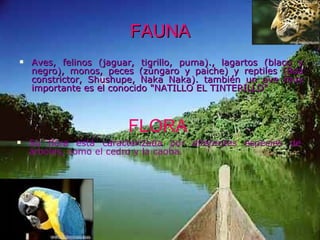 FAUNA Aves, felinos (jaguar, tigrillo, puma)., lagartos (blaco y negro), monos, peces (zúngaro y paiche) y reptiles (Boa constrictor, Shushupe, Naka Naka). también un ave muy importante es el conocido "NATILLO EL TINTERILLO"  FLORA Su flora está caracterizada por diferentes especies de árboles, como el cedro y la caoba.  
