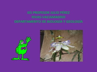 IES PROFESOR JULIO PÉREZ
RIVAS-VACIAMADRID
DEPARTAMENTO DE BIOLOGÍA Y GEOLOGÍA
 