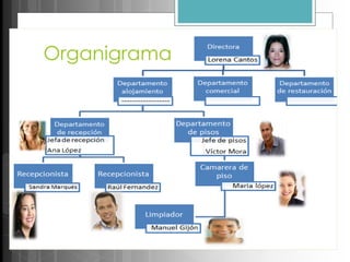 Organigrama
 