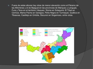  Fuera de estas alturas hay otras de menor elevación como el Páramo de
las Alfombras y el de Bijagual en las provincias de Márquez y Lengupá,
Fura y Tena en el territorio Vásquez, Siome en Sotaquirá, El Tíbet en
Cerinza, Mama Pacha en Garagoa, Peña Negra en Turmequé, Guática en
Tibasosa, Castilejo en Úmbita, Siscunsí en Sogamoso, entre otras.
 