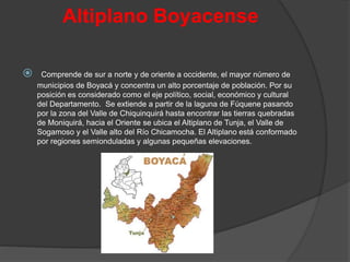 Altiplano Boyacense
 Comprende de sur a norte y de oriente a occidente, el mayor número de
municipios de Boyacá y concentra un alto porcentaje de población. Por su
posición es considerado como el eje político, social, económico y cultural
del Departamento. Se extiende a partir de la laguna de Fúquene pasando
por la zona del Valle de Chiquinquirá hasta encontrar las tierras quebradas
de Moniquirá, hacia el Oriente se ubica el Altiplano de Tunja, el Valle de
Sogamoso y el Valle alto del Río Chicamocha. El Altiplano está conformado
por regiones semionduladas y algunas pequeñas elevaciones.
 