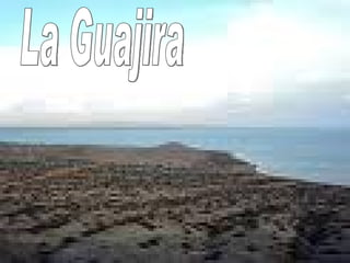 La Guajira La Guajira La Guajira 