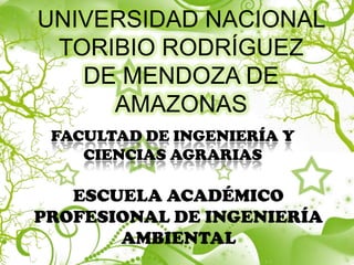 UNIVERSIDAD NACIONAL
TORIBIO RODRÍGUEZ
DE MENDOZA DE
AMAZONAS
FACULTAD DE INGENIERÍA Y
CIENCIAS AGRARIAS
ESCUELA ACADÉMICO
PROFESIONAL DE INGENIERÍA
AMBIENTAL
 
