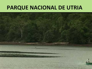 PARQUE NACIONAL DE UTRIA
 