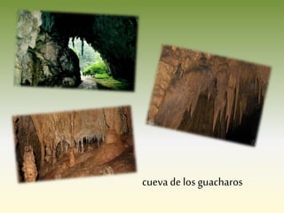 cueva de los guacharos
 