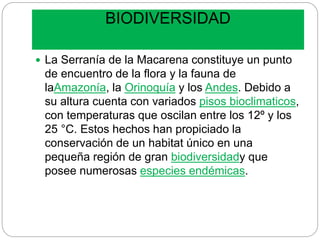 BIODIVERSIDAD
 La Serranía de la Macarena constituye un punto
de encuentro de la flora y la fauna de
laAmazonía, la Orinoquía y los Andes. Debido a
su altura cuenta con variados pisos bioclimaticos,
con temperaturas que oscilan entre los 12º y los
25 °C. Estos hechos han propiciado la
conservación de un habitat único en una
pequeña región de gran biodiversidady que
posee numerosas especies endémicas.
 