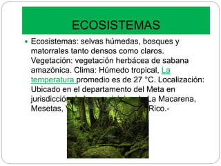 ECOSISTEMAS
 Ecosistemas: selvas húmedas, bosques y
matorrales tanto densos como claros.
Vegetación: vegetación herbácea de sabana
amazónica. Clima: Húmedo tropical, La
temperatura promedio es de 27 °C. Localización:
Ubicado en el departamento del Meta en
jurisdicción de los municipios de La Macarena,
Mesetas, Vistahermosa y Puerto Rico.-
 
