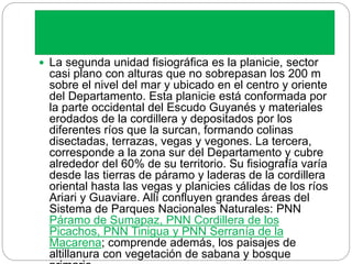  La segunda unidad fisiográfica es la planicie, sector
casi plano con alturas que no sobrepasan los 200 m
sobre el nivel del mar y ubicado en el centro y oriente
del Departamento. Esta planicie está conformada por
la parte occidental del Escudo Guyanés y materiales
erodados de la cordillera y depositados por los
diferentes ríos que la surcan, formando colinas
disectadas, terrazas, vegas y vegones. La tercera,
corresponde a la zona sur del Departamento y cubre
alrededor del 60% de su territorio. Su fisiografía varía
desde las tierras de páramo y laderas de la cordillera
oriental hasta las vegas y planicies cálidas de los ríos
Ariari y Guaviare. Allí confluyen grandes áreas del
Sistema de Parques Nacionales Naturales: PNN
Páramo de Sumapaz, PNN Cordillera de los
Picachos, PNN Tinigua y PNN Serranía de la
Macarena; comprende además, los paisajes de
altillanura con vegetación de sabana y bosque
 