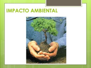 IMPACTO AMBIENTAL
 