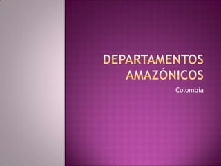 Departamentos amazónicos Colombia 
