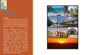 TUMBES
Tumbes es
un departamento del Perú situado en
el extremo noroeste del país. Esta
circunscripción está limitada al oeste y
norte con el océano Pacífico (Golfo de
Guayaquil), al sur con el departamento
de Piura y con
territorio ecuatoriano por el este y
sureste. La región comprende la
estrecha planicie costera en el oeste y
los Cerros de Amotape en el norte,
dominados por el bosque seco
ecuatorial, y los manglares y bosques
tropicales del norte. Por su clima
tropical y variedad de ambientes,
posee atractivos turísticos como las
playas de Punta Sal, Puerto
Pizarro y Zorritos, así como las áreas
protegidas del Santuario Nacional
Manglares de Tumbes, el Parque
Nacional Cerros de Amotape y la
Reserva Nacional de Tumbes.
 