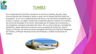 TUMBES
Es un departamento del Perú situado en el extremo noroeste del país. Esta
circunscripción está limitada al oeste y norte con el océano Pacífico (Golfo de
Guayaquil), al sur con el departamento de Piura y con territorio ecuatoriano por
el este y sureste. La región comprende la estrecha planicie costera en el oeste y
los Cerros de Amotape en el norte, dominados por el bosque seco ecuatorial, y
los manglares y bosques tropicales del norte. Por su clima tropical y variedad de
ambientes, posee atractivos turísticos como las playas de Punta Sal, Puerto
Pizarro y Zorritos, así como las áreas protegidas del Santuario Nacional Manglares
de Tumbes, el Parque Nacional Cerros de Amotape y la Reserva Nacional de
Tumbes.
 